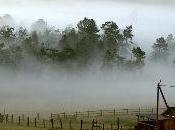 Sevrage tabagique cigarette électronique n’est solution