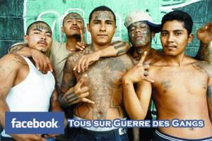 Tous sur Facebook et Guerre des Gangs
