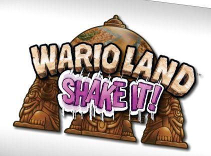 Wii_experience_Wario_Land