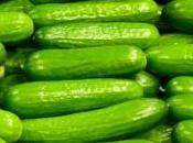 jardinier installe alarme infrarouges pour protéger concombres