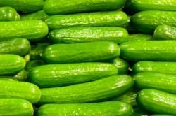 concombres