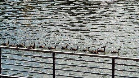 a0d5c9000e124977abd39cae0970d105[1]