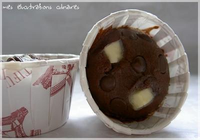 Mini muffins moelleux aux chocolats