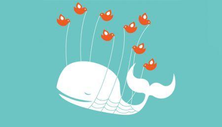 twitter_whale.png
