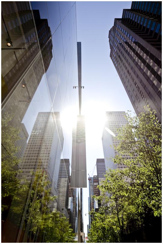 the-moma-4 New York : The MOMA