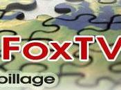FreeFoxTV change peau