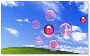 Les widgets, nouvel outil marketing de l'e-commerce