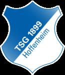 tsg_1899_hoffenheim_ist_in_die_1_bundesliga_aufges