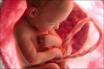 foetus neuf mois