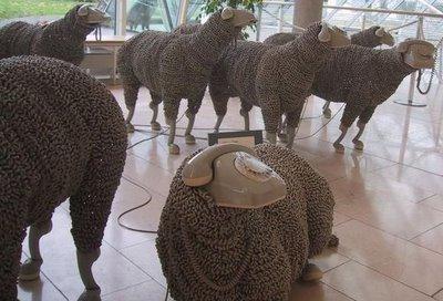 Des moutons en fil de téléphone