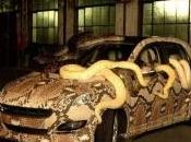 Découvrez voiture serpent