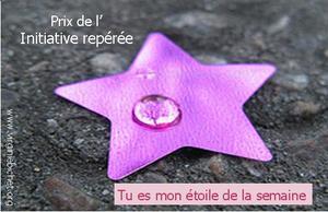 Dame Zébulle...Prix de l'initiative repérée !