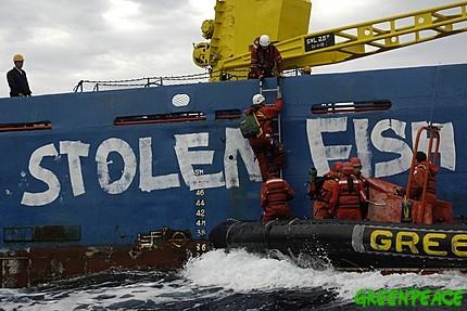 Greenpeace sort une liste des navires impliqués dans la pêche pirate
