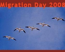 Migration Day 2008