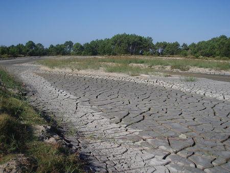 BASSINS_DECANTATION_SEPTEMBRE_2008_ANDERNOS__2_