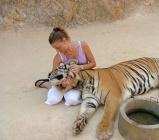 Tigre et jeune femme