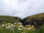 Atelier d’écriture actualité théâtre collège.