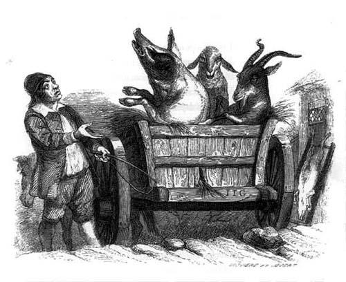 le cochon, la chèvre et le mouton