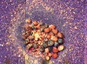 Poussière martienne Phoenix News