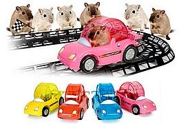 Circuit auto pour hamsters