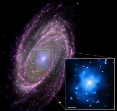 M81, image composite (Chandra, Hubble, Galex)