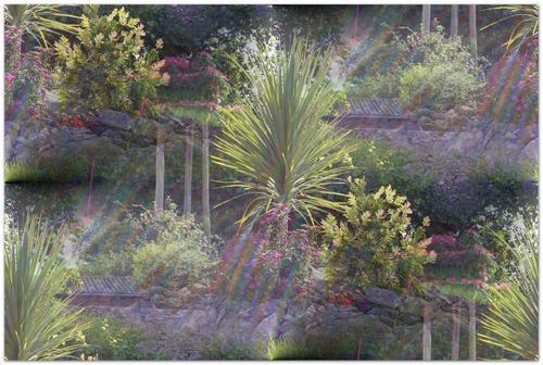 Je persiste à rêver