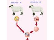 Rubrique Société-Faits Divers OCTOBRE/NOVEMBRE 2028