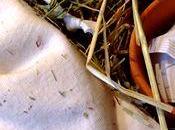 Buzz Recherche cours mode couture) éthique...