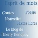 liens site Thierry Benquey l'annuaire arts