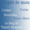 Des liens - le site de Thierry Benquey et l'annuaire des arts