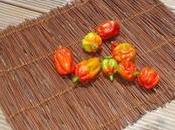 BONDA .....dans bocal .....!