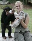 chimpanzé et tigre blanc, biberon