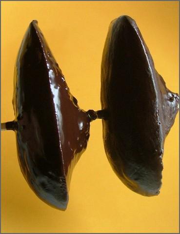 Madeleines de Lenôtre en habit de chocolat noir