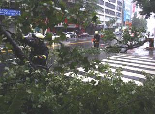 Typhon Sinlaku passé, blessures sont restées