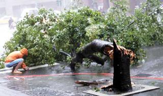 Typhon Sinlaku passé, blessures sont restées