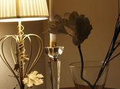 journée inoubliable balade médocaine hors sentiers battus