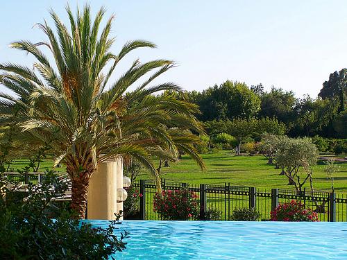 piscine parc palmier