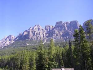 Blogue d’affaires.  Les premiers gagnants sont connus.