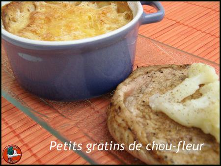 Petits_gratins_de_chou_fleur