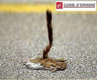 faut que je vous dise: on verra demain faut que je vous dise: on verra demain