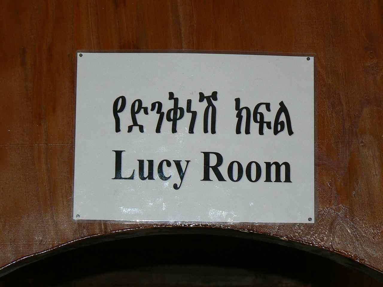 lucy-room.1209406492.jpg