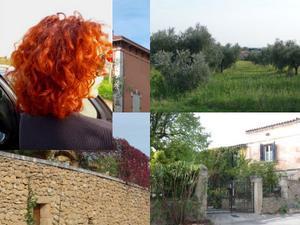 Mes couleurs de l'automne