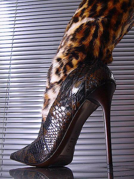 Déclinaison Python by LORENZI ....