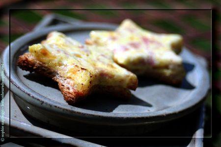 croque_quiche_jambon_tome_chevre_zoom2_b