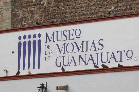 Guanajito Mexique