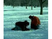 Pourquoi mange t-il cette neige jaune