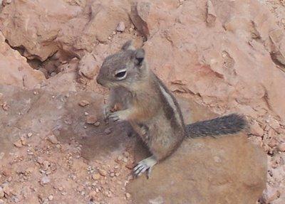 Bryce Canyon, un chef-d'œuvre de la nature