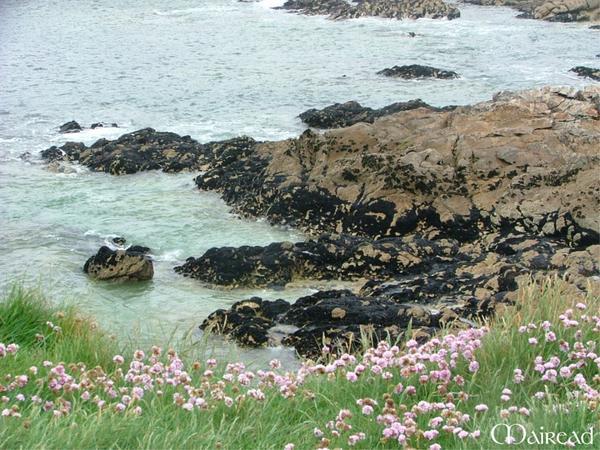 presqu'île de Quiberon