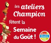 SDG_relais_blogueur_179x149_2