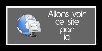 TubeChope ou comment capturer un bout de vidéo …